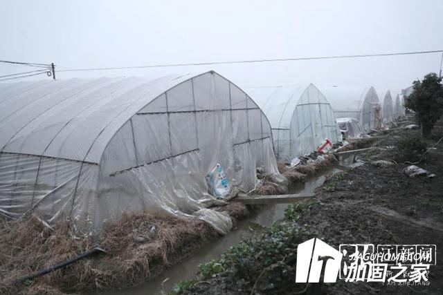 大雪來(lái)臨加固大棚 減少農(nóng)業(yè)損失！