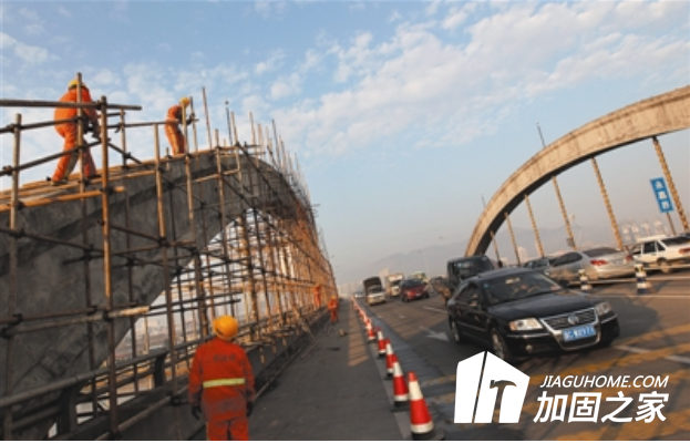 百萬(wàn)螞蟻建懸空橋，橋梁加固如何進(jìn)行?