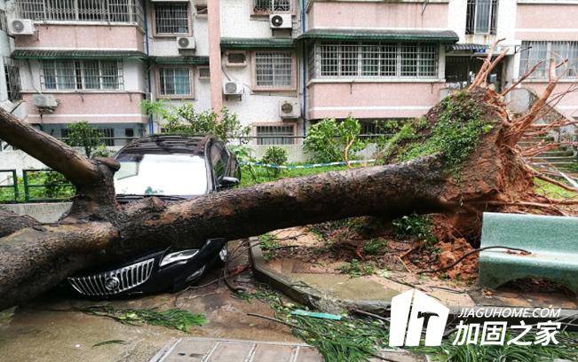 臺風(fēng)“山竹”對建筑物造成多大的影響？
