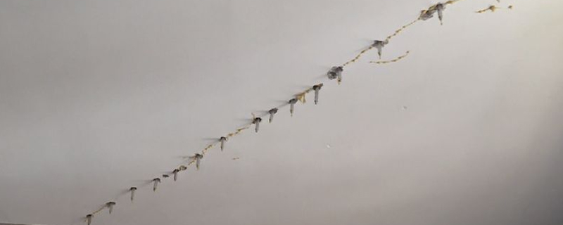 樓板漏水可怎么辦？